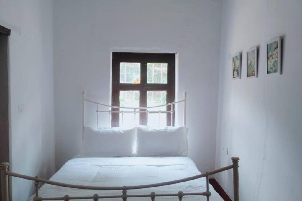 A Quaint Cottage With Rajah'S Seat View. มาดิเครี ภายนอก รูปภาพ